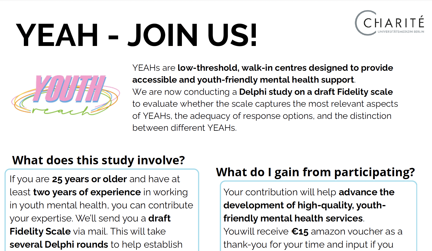 Flyer Delphi Study - Professionals